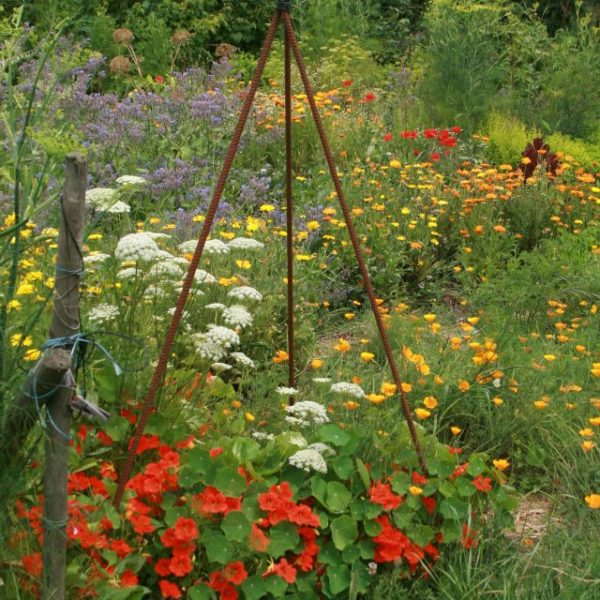 182149_4379797536559_440454366_n