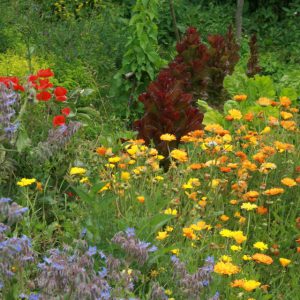 376263_4379799856617_1748358704_n