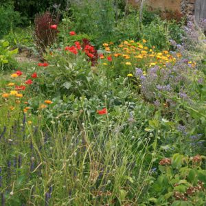 486339_4379800616636_1985440790_n