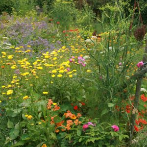 522043_4379798176575_2096908275_n