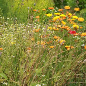 541896_4379811536909_1289027968_n