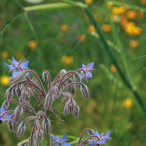 548059_4379804736739_490061565_n