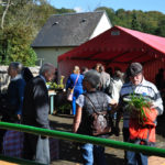 La Madeleine Bouvet troc jardin